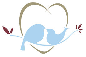 love birds free png image hq