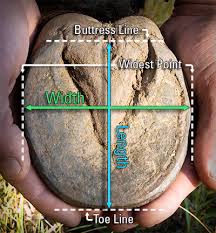 How To Measure For Horse Hoof Boots Farriers Depot