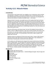 4 2 1 A Muscleanatomy Activity 4 2 1 Muscle Rules