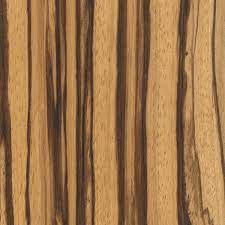 zebrawood the wood database hardwood