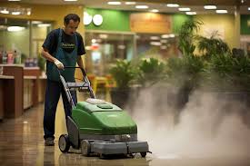 publix steam cleaner al is the