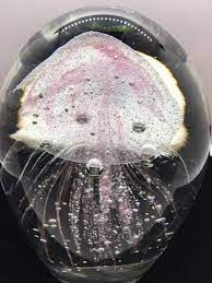 Encased Jellyfish Glass Paperweight