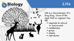 life definition and exles biology