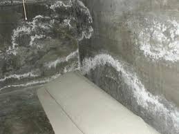 Health risk of basement mold. Part 1 5 Stains You Should Look Out For On Your Basement Walls News And Events For Terrafirma