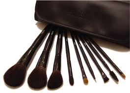 squirrel makeup brush sets by a squirrel