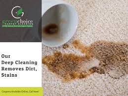 carpet cleaning in nyc same day