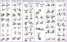 4 Bodybuilding Exercises Chart For Men Work Out Picture