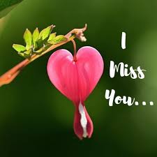150 i miss you my love images