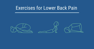 top 5 exercises to relieve back pain