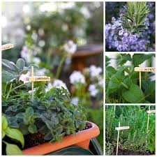 How To Plant A Raised Bed Herb Garden