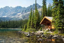 Lake O'hare Lodge. Near Banff | Cabines da montanha, Lindas paisagens, Cabanas na floresta