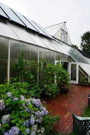 Summer Greenhouse Uses What To Grow