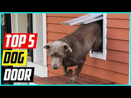Best Dog Door In 2022 Top 5 Picks
