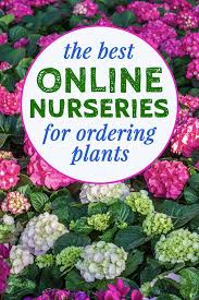 The Best Nurseries For 2023