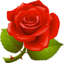 red rose vector images over 60 000