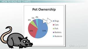 What Is A Pie Chart Definition Examples