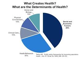 Whitehead Determinants Of Health Pesquisa Google Public