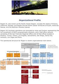 Organizational Profile Pdf