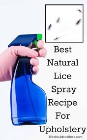 best head lice treatment spray recipe