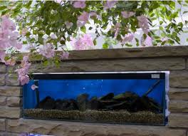 10 Unique Fish Tank or Aquarium Design Ideas for Your Home gambar png