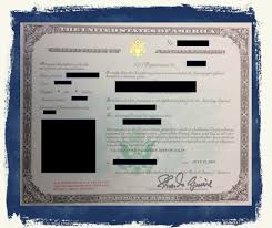 certificate of naturalization apostille