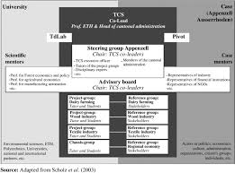 Organizational Chart Of The Tcs Approach Exemplified For The