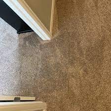 top 10 best carpet repair in denver co