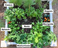 12 easy square foot gardening tips for