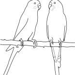 Baby parrot coloring pages with parakeet coloring pages parakeet on tree branch colouring page coloring page coloring pages birds parrot bird. P Is For Parakeet Coloring Page Coloring Sun