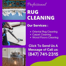 professional carpet cleaners elgin il