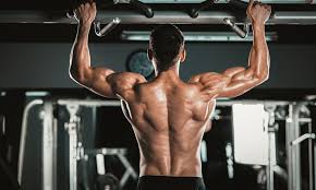 a m building back workout for a
