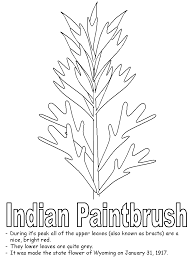 paintbrush coloring pages tplan4all en