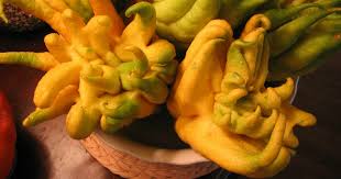 Bael is a smooth fruit with a woody peel that is colored yellow, green, or grey. Here Are 20 Of The World S Most Rare And Exotic Fruits