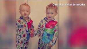 Levi & lainey﻿ are two sweet and spunky, 2 year old twins. Family Devastated After Twin Boys Fall In Backyard Pool Killing One Of Them