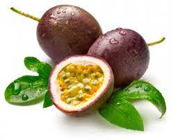 He brought four passion fruits from the market. File Fruit De La Passion Jpg Wikimini Stock