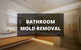black mold in bathroom mold reation