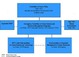 1 Provides An Organizational Chart Of The New Coordinated