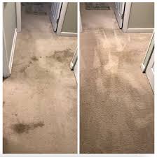 carpet stain removal in chicago
