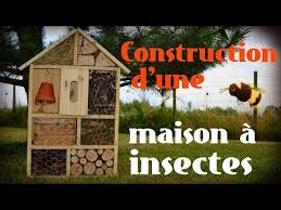 comment faire une maison à insectes