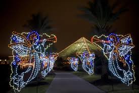 moody gardens festival of lights and