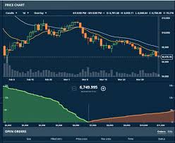 Big Chonis Flux Trading Group