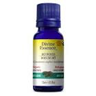 Ho Wood Organic 15 ml Divine Essence