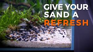 replace the cosmetic sand substrate