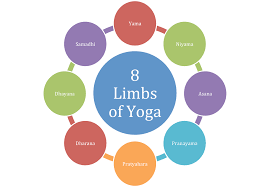 the 8 limbs of yoga travis eliot