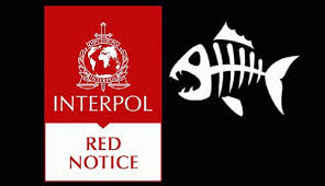 An interpol notice is an international alert circulated by interpol to communicate information about crimes, criminals, and threats by police in a member state (or an authorised international entity) to their counterparts around the world. Venezuela Peter Krauth Is Released Now Questions About Interpol Warrants Matthias Monroy