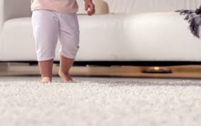 carpet cleaning archives