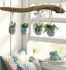 Indoor Window Shelf Ideas For Plants