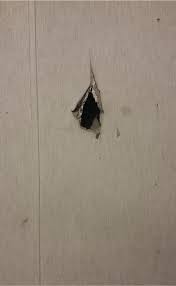 We did not find results for: Fixing A Hole In The Wall Mobilehomerepair Com