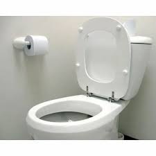 Floor Mounted Western Toilet Seat