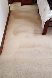 carpet cleaning adelaide sapphire clean